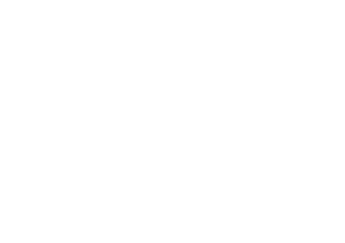 MMOLEAD